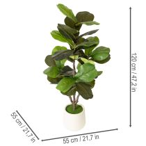 Prodotto Ficus lyrata artificiale, 120 cm, decorativo per soggiorno