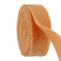 Nastro in feltro 7,5 cm 5 m arancione chiaro