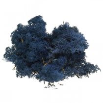 Deco muschio secco blu muschio per artigianato colorato 500g