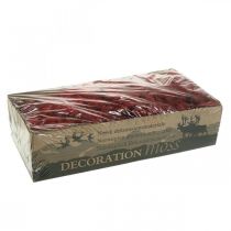 Prodotto Muschio decorativo Rosso Bordeaux Muschio di renna per artigianato 400g
