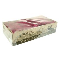 Prodotto Muschio decorativo Muschio di renna Erika 400g