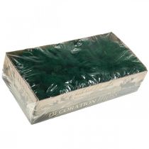 Prodotto Muschio decorativo verde muschio islandese conservato per artigianato 400 g