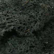 Deco muschio muschio di renna conservato nero per artigianato 400 g