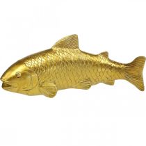 Pesce decorativo da posare, pesce scultura poliresina dorata grande L25cm
