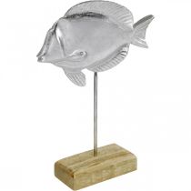 Pesce da posizionare, decorazione marittima, pesce decorativo in metallo argento, colori naturali H23cm