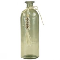 Prodotto Bottiglie vaso decorativo in vetro conchiglie ciprea marittima H26cm 2 pezzi