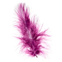 Prodotto Soffici piume decorative bordeaux per l&#39;artigianato 5-10 cm 20 g