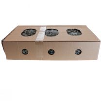 Prodotto Licheni, muschio lichenico, muschio arboreo, muschio decorativo, naturale 1 kg