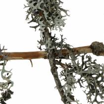 Muschio di lichene grigio muschio con rami 750g