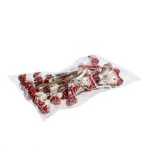 Prodotto Agarico volante su filo 12 voll.