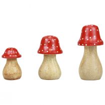 Prodotto Funghi decorativi di agarico di mosca funghi in legno decorazione autunnale H6/8/10 cm set di 3