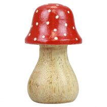 Prodotto Decorazione a forma di agarico di mosca, funghi in legno, decorazione autunnale H6/8/10cm, set da 3