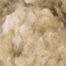 Prodotto Lana di pecora beige naturale, sfusa, per lavori di artigianato e decorazione, 250 g