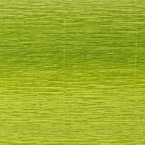 Prodotto Carta crespa per fioristi, verde erba, 50×250 cm, 5 pezzi