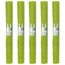 Prodotto Carta crespa per fioristi, verde erba, 50×250 cm, 5 pezzi