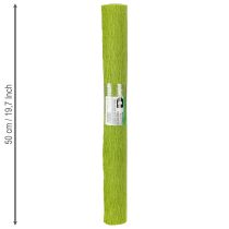 Prodotto Carta crespa per fioristi, verde erba, 50×250 cm, 5 pezzi