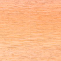 Prodotto Fioraio carta crespa salmone 50x250cm