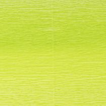 Prodotto Carta crespa fiorista May green 50x250cm