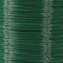 Prodotto Filo per fioristi Filo decorativo Filo di mirto verde 0,30 mm 100 g 3 pz