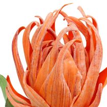Fiore di schiuma arancione 12 cm L30 cm 1 pz