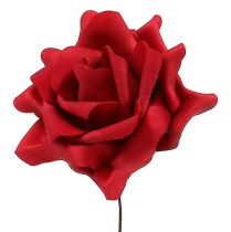 Schiuma rosa schiuma rosa rossa Ø15cm 4pz