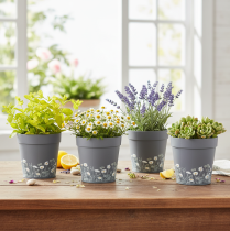 Prodotto Vaso da fiori con motivo floreale per la decorazione moderna della casa e del balcone estivo, 13 cm, 4 pezzi