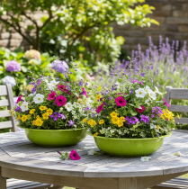 Prodotto Vassoio per piante per una bella decorazione vegetale nel soggiorno, 29 cm, 2 pezzi