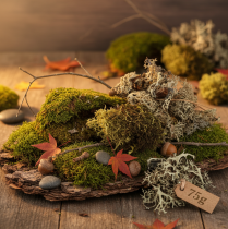 Prodotto Muschio decorativo per lavori artigianali, muschio naturale verde misto e verde chiaro, 75 g