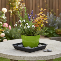 Prodotto Sottobicchiere Lara quadrato 20 cm x 20 cm antracite 1 pz