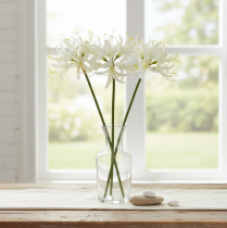 Prodotto Nerine Guernsey Giglio Fiore Artificiale Bianco Giallo Ø15cm L65cm