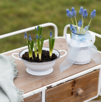 Prodotto Ciotole decorative in metallo, bianche e nere, Ø16,5 cm, H6,5 cm, 4 pezzi