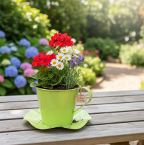 Prodotto Tazza da tè decorativa in metallo con piattino, verde chiaro, Ø12 cm, H10 cm, 8 pezzi.