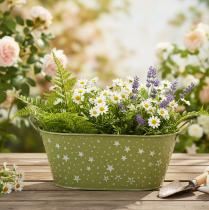 Prodotto Ciotola ovale in metallo con stelle e manici, verde, 31×16 cm, H12,5 cm