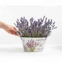 Prodotto Ciotola ovale in metallo con manici, colore lavanda, 26×13×14,5 cm.