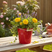 Prodotto Secchio/fioriera decorativo in metallo, rosso, Ø22cm, H21.5cm, 6L