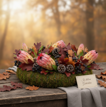 Prodotto Compacta Rosa 25 pz