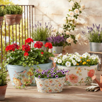 Prodotto Vasi per piante, primavera, fioriere per fiori/uccelli, contenitore ovale in metallo L39/31/24,5cm, set da 3