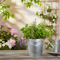 Prodotto Vaso da fiori decorativo in metallo con manici in corda Ø20cm