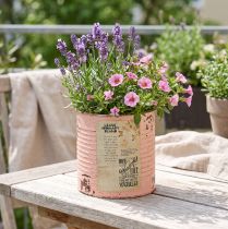 Prodotto Vaso da fiori decorativo in metallo color salmone, decorazione estiva Ø11cm H10.5cm
