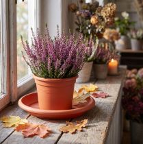 Prodotto Sottobicchiere “Linda” Ø24cm terracotta