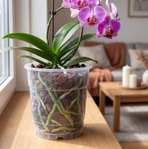 Prodotto Vaso per orchidee trasparente Ø15cm 10pz