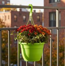 Prodotto Cesto sospeso 25 cm verde