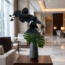 Prodotto Orchidea da decorare Nera 54cm