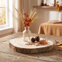 Prodotto Fetta di albero di Paulownia Ø20-25cm fetta decorativa in legno naturale