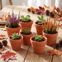 Prodotto Vaso per fiori in terracotta, Ø5cm, altezza 4cm, 10 pezzi