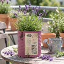 Prodotto Vaso decorativo vintage in metallo viola, decorazione estiva Ø11cm H10.5cm