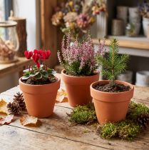 Prodotto Vaso da fiori in terracotta Ø9cm alto 8cm 10 pezzi