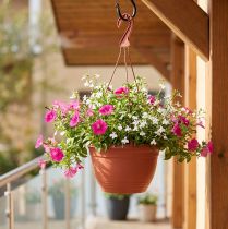 Prodotto Cesto sospeso Ø30cm terracotta