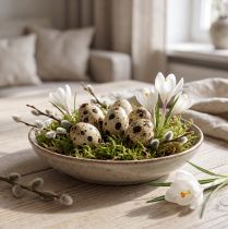 Prodotto Uova di quaglia come decorazione, vuote, naturali, 50 pezzi