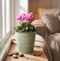 Prodotto Vaso da fiori in zinco, verde menta, Ø15cm, H13.5cm